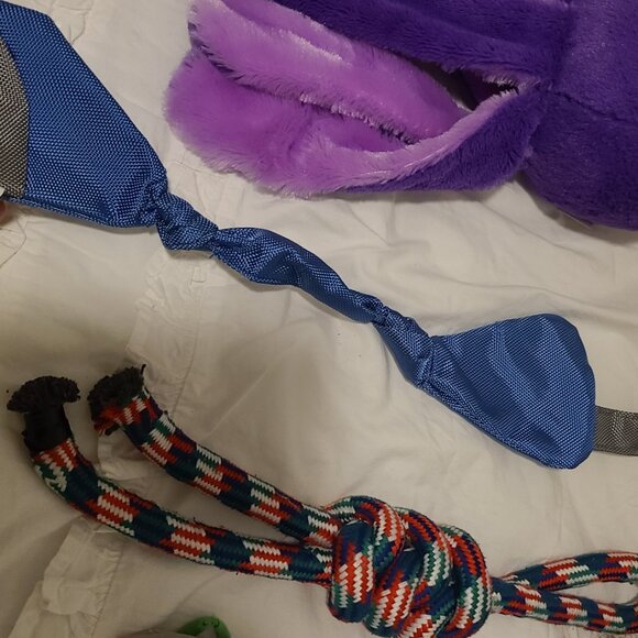 Dog Bundle - Picture 4 of 7